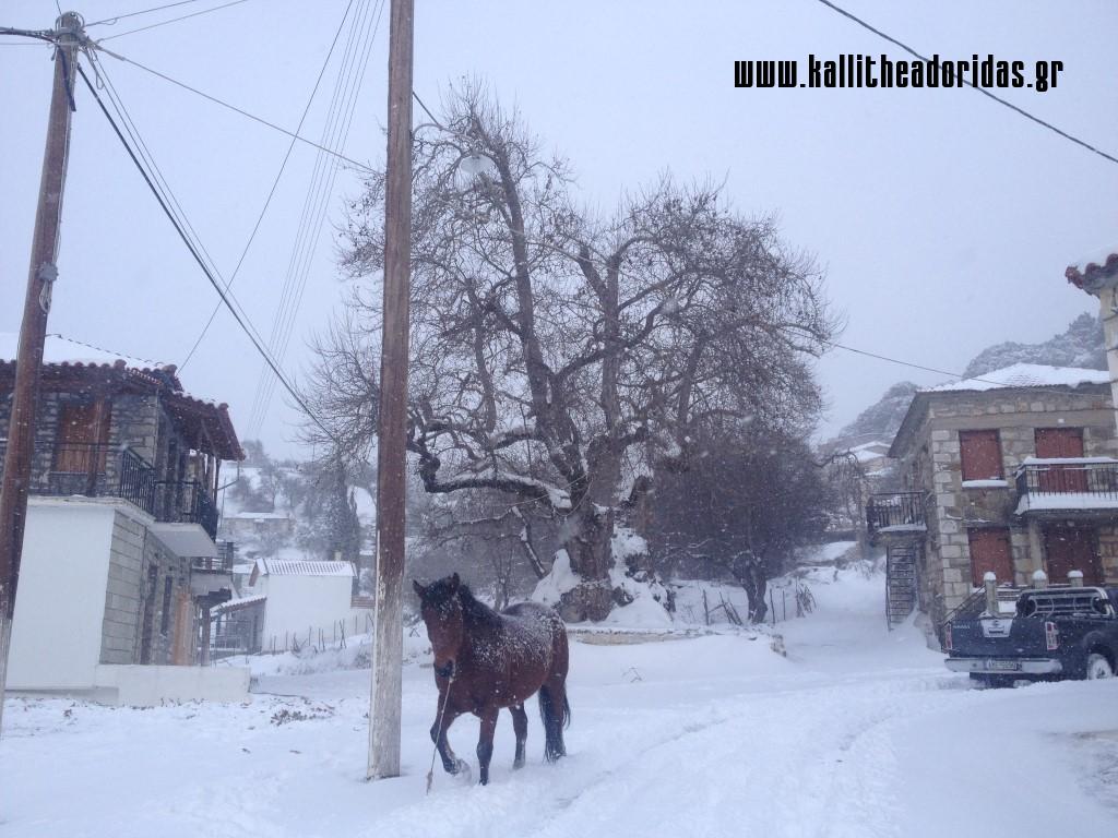 IMG_4988