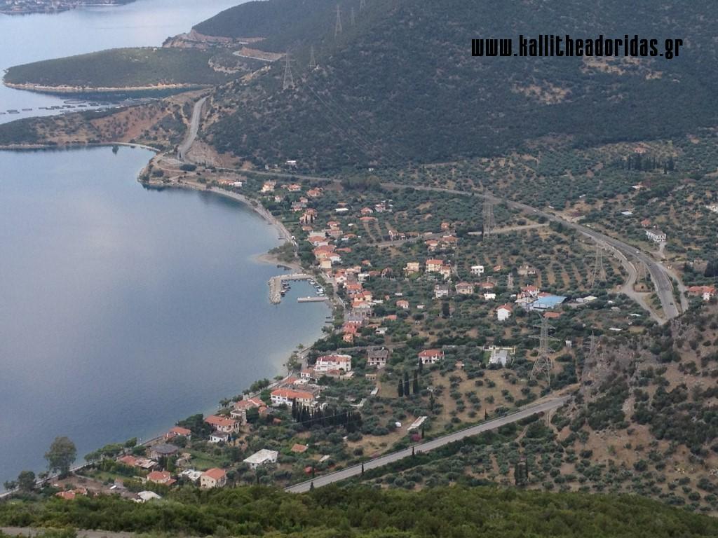 IMG_1456