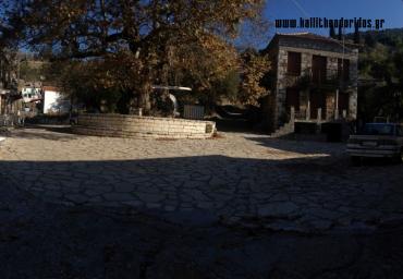 IMG_0783 - Αντιγραφή (2)