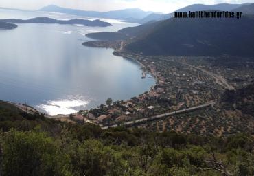 IMG_1446