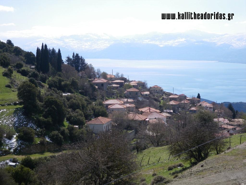 IMGP0600