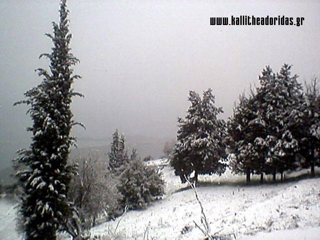 Photo-0009